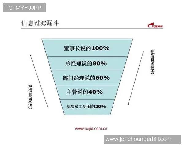 深圳排球队团队协作的独特优势与发展潜力深度解析