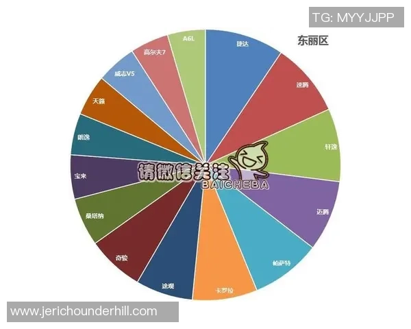 独家分析：成都排球队的灵活性对比