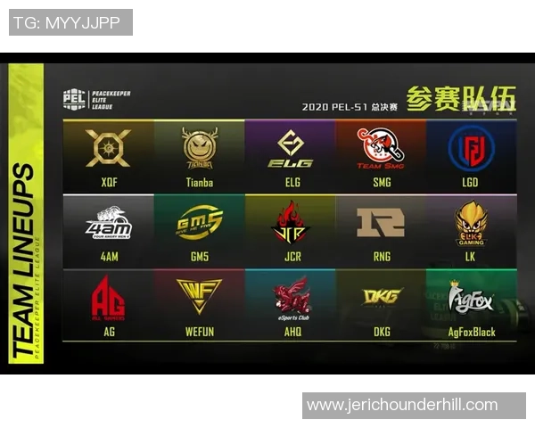 最新和平精英战术TOP10：V5领跑