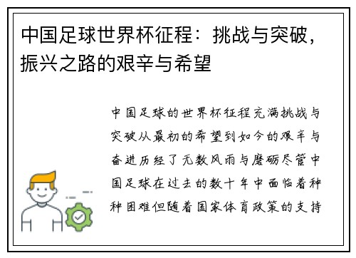 中国足球世界杯征程：挑战与突破，振兴之路的艰辛与希望