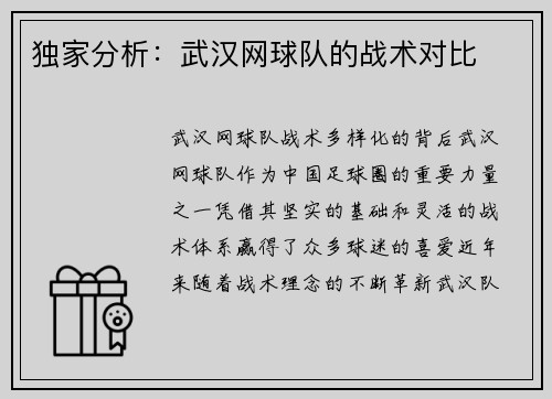 独家分析：武汉网球队的战术对比
